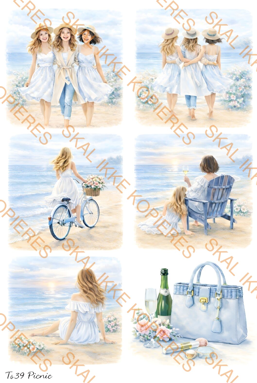TS39 Picnic