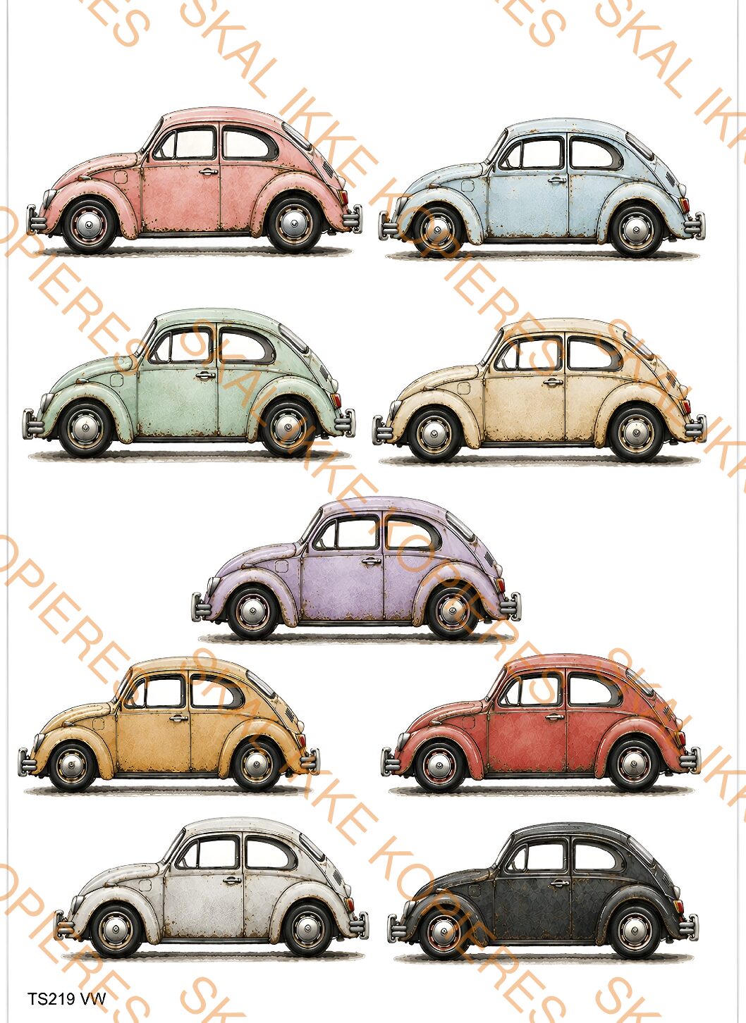 TS219 VW