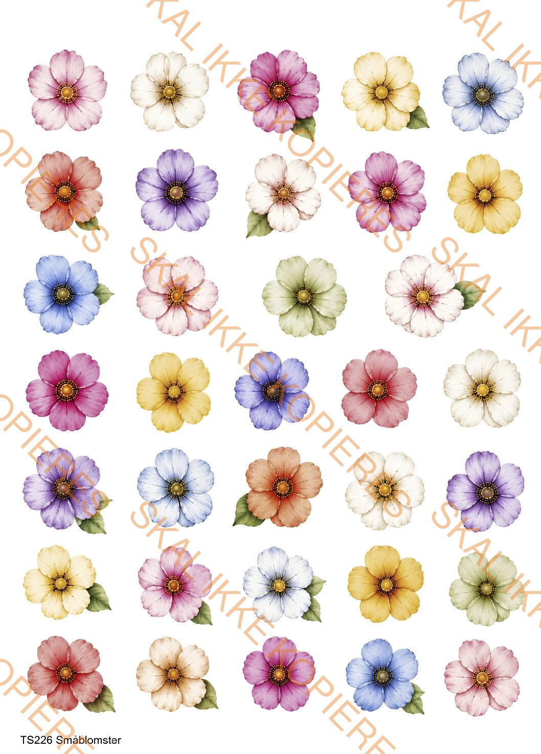 TS226 Småblomster