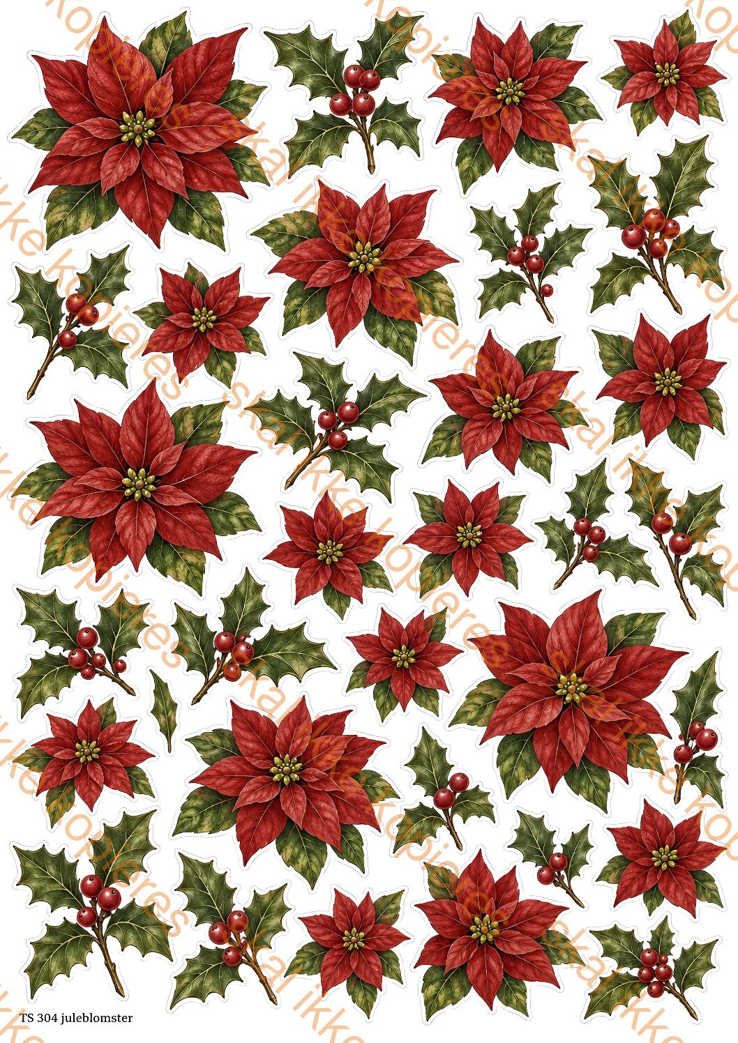 TS304 Røde blomster